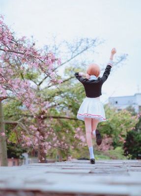 繁花在线观看